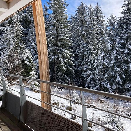 Studio Chamrousse 1700 Pour 4 Personnes - Au Calme - Avec Wifi 외부 사진
